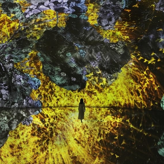 TeamLab Phenomena + Yas Waterworld - Combo Recently Added Experiences